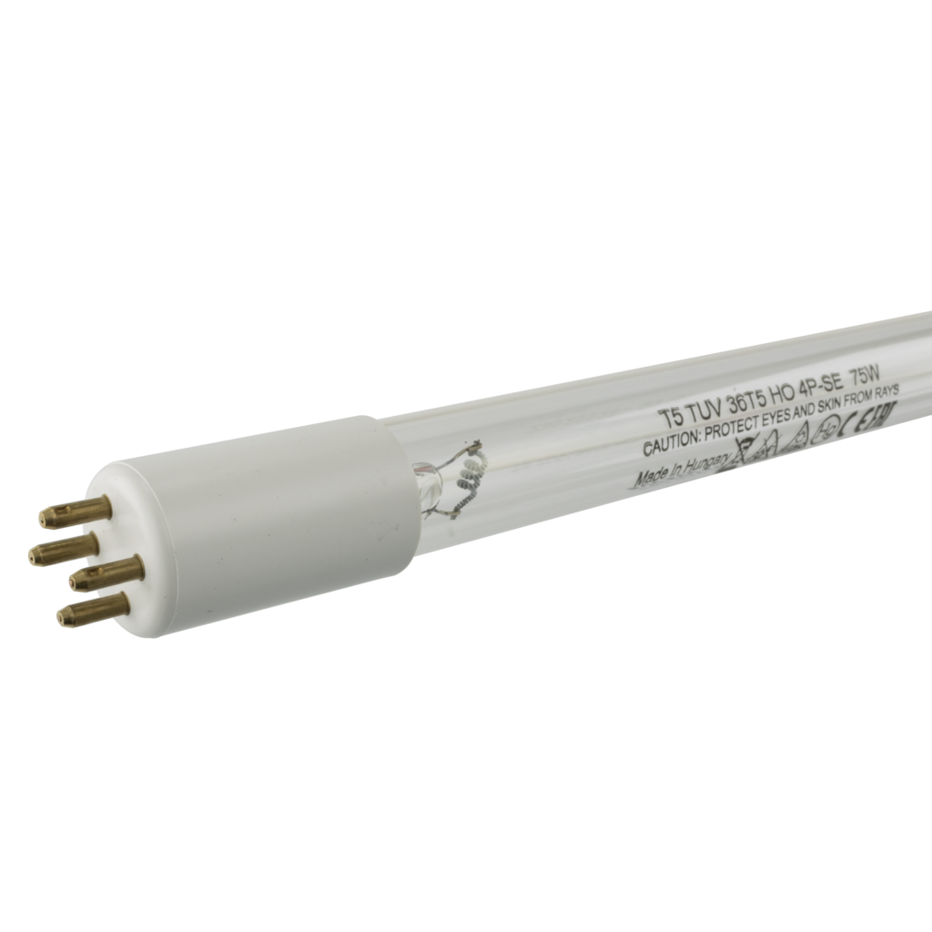 T5 lamps
