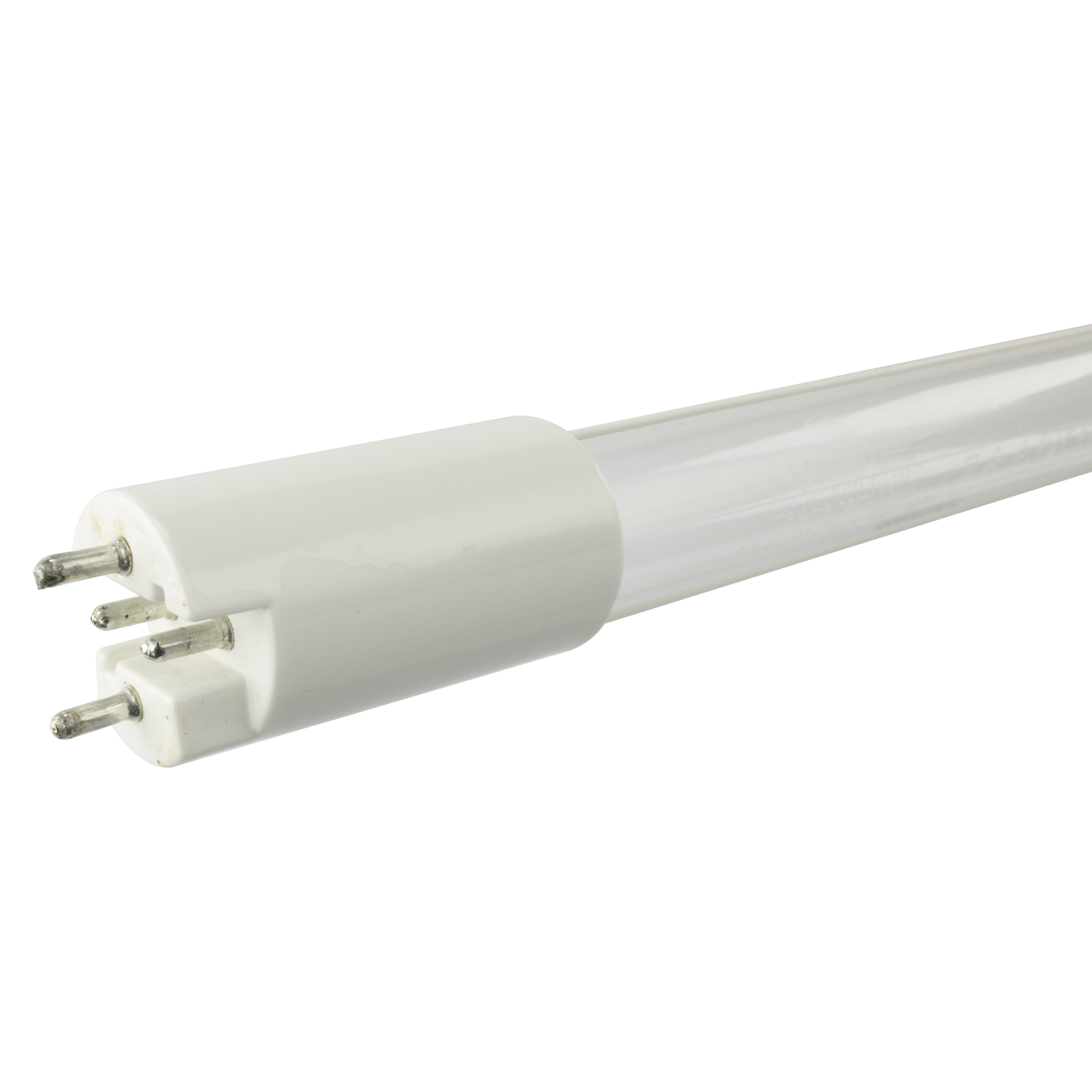 Amalgam Lamp